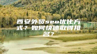 西安外贸seo优化方式？如何快速取得排名？