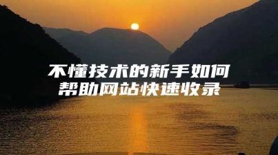 不懂技术的新手如何帮助网站快速收录