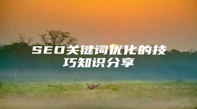 SEO关键词优化的技巧知识分享