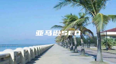 亚马逊SEO