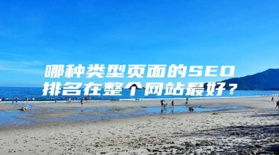 哪种类型页面的SEO排名在整个网站最好？