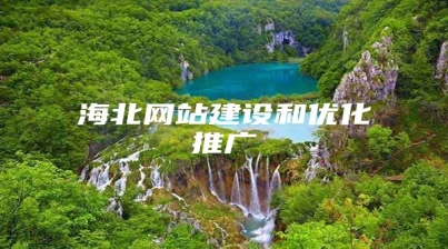 海北网站建设和优化推广