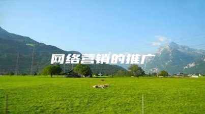 网络营销的推广