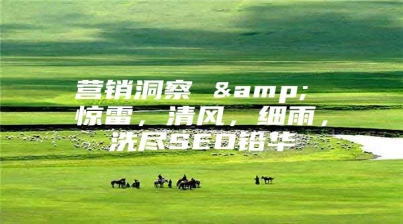 营销洞察 & 惊雷，清风，细雨，洗尽SEO铅华