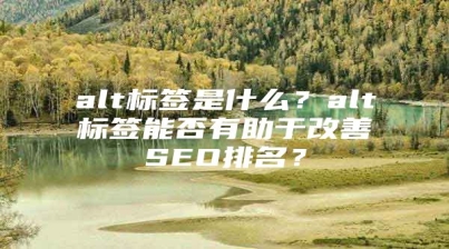 alt标签是什么？alt标签能否有助于改善SEO排名？