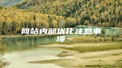 网站内部优化注意事项