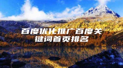 百度优化推广百度关键词首页排名