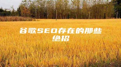 谷歌SEO存在的那些绝招