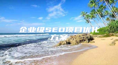 企业级SEO项目优化方案