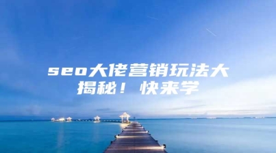 seo大佬营销玩法大揭秘！快来学