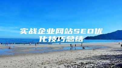 实战企业网站SEO优化技巧总结