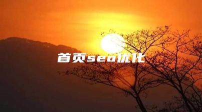 首页seo优化