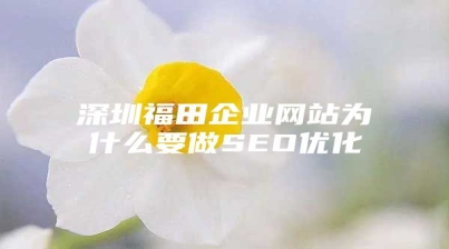 深圳福田企业网站为什么要做SEO优化