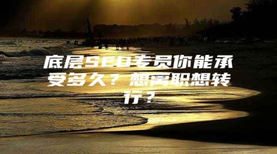 底层SEO专员你能承受多久？想离职想转行？