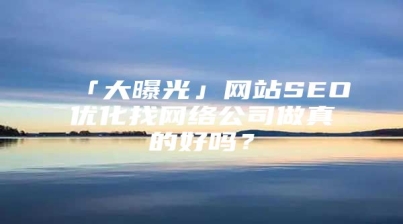 「大曝光」网站SEO优化找网络公司做真的好吗？