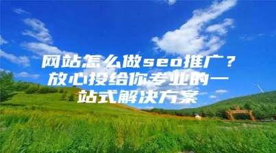 网站怎么做seo推广？放心投给你专业的一站式解决方案