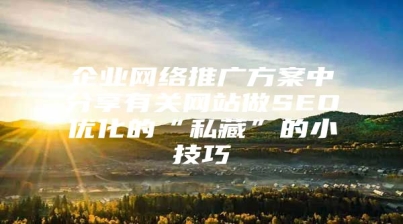 企业网络推广方案中分享有关网站做SEO优化的“私藏”的小技巧