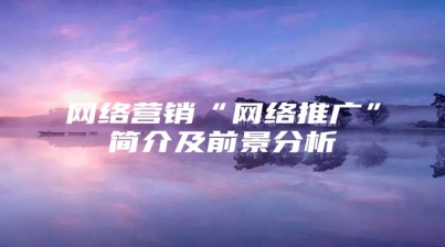 网络营销“网络推广”简介及前景分析