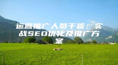 运营推广人员干货：实战SEO优化及推广方案