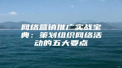 网络营销推广实战宝典：策划组织网络活动的五大要点