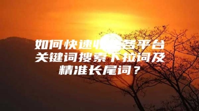 如何快速收集各平台关键词搜索下拉词及精准长尾词？