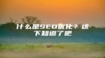 什么是SEO优化？这下知道了吧