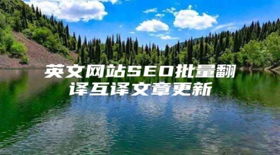 英文网站SEO批量翻译互译文章更新