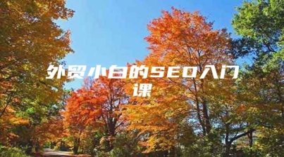 外贸小白的SEO入门课