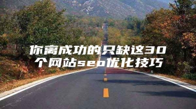 你离成功的只缺这30个网站seo优化技巧