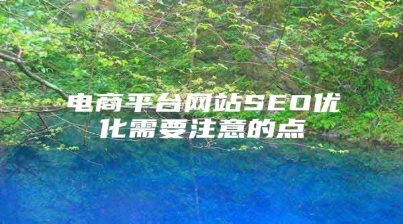 电商平台网站SEO优化需要注意的点
