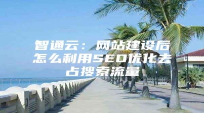 智通云：网站建设后怎么利用SEO优化去占搜索流量