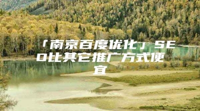 「南京百度优化」SEO比其它推广方式便宜