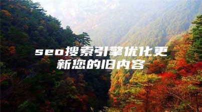 seo搜索引擎优化更新您的旧内容