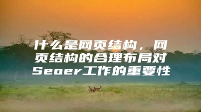 什么是网页结构，网页结构的合理布局对Seoer工作的重要性