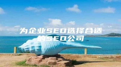 为企业SEO选择合适的SEO公司