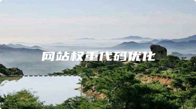 网站权重代码优化