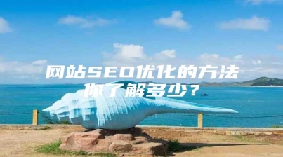 网站SEO优化的方法你了解多少？