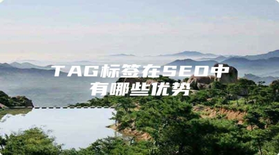 TAG标签在SEO中有哪些优势