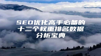 SEO优化高手必备的十二个权重排名数据分析宝典