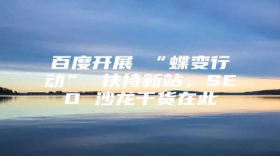 百度开展 “蝶变行动” 扶持新站，SEO 沙龙干货在此
