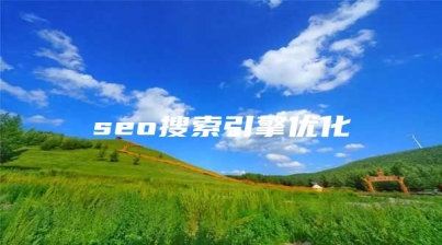 seo搜索引擎优化