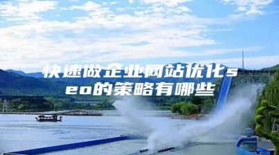 快速做企业网站优化seo的策略有哪些