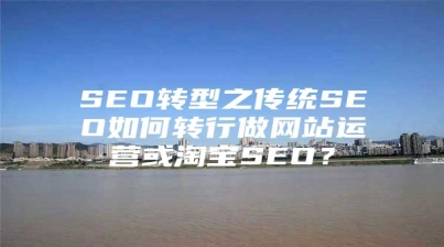 SEO转型之传统SEO如何转行做网站运营或淘宝SEO？