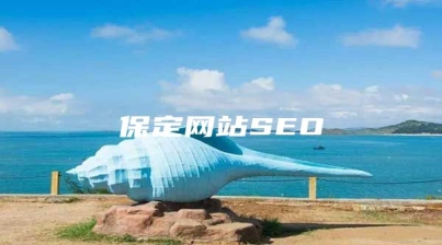 保定网站SEO