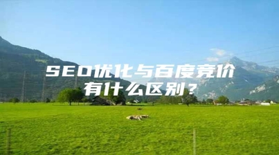 SEO优化与百度竞价有什么区别？