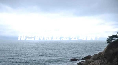 seo实战：网站快速排名的标题怎么写的？