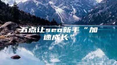五点让seo新手“加速成长”