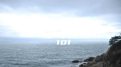 SEO新手入门系列2022（二）：SEO 101
