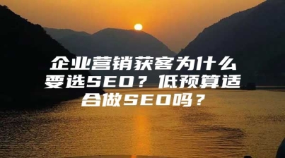 企业营销获客为什么要选SEO？低预算适合做SEO吗？